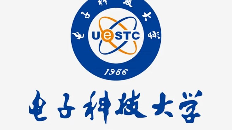 国产芯片批发报价平台：揭秘行业背后的秘密**